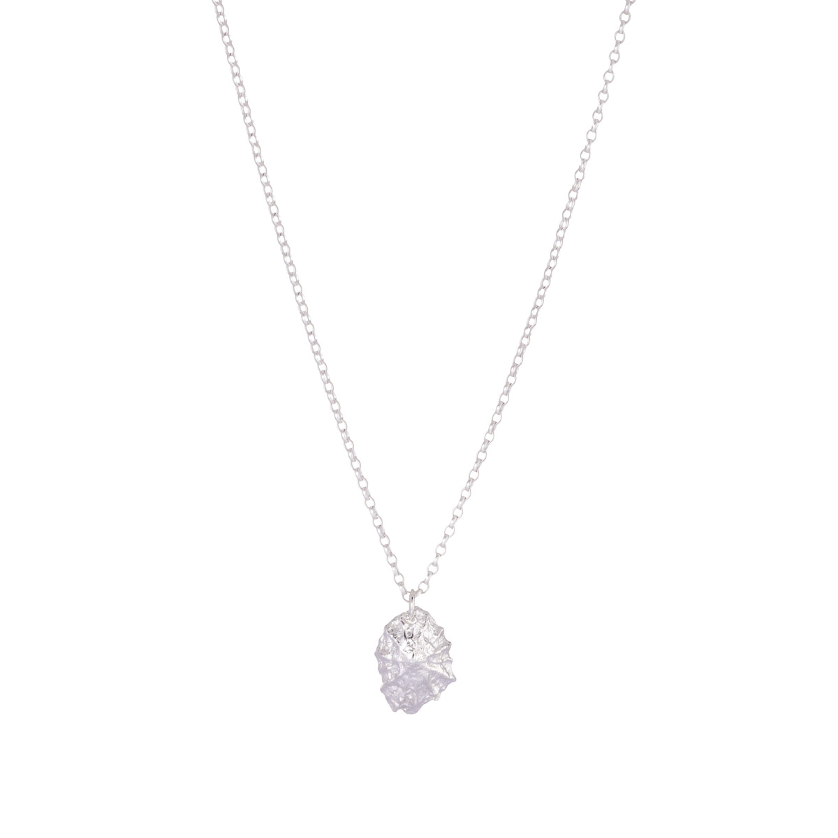 Limpet Shell Pendant - Image 2